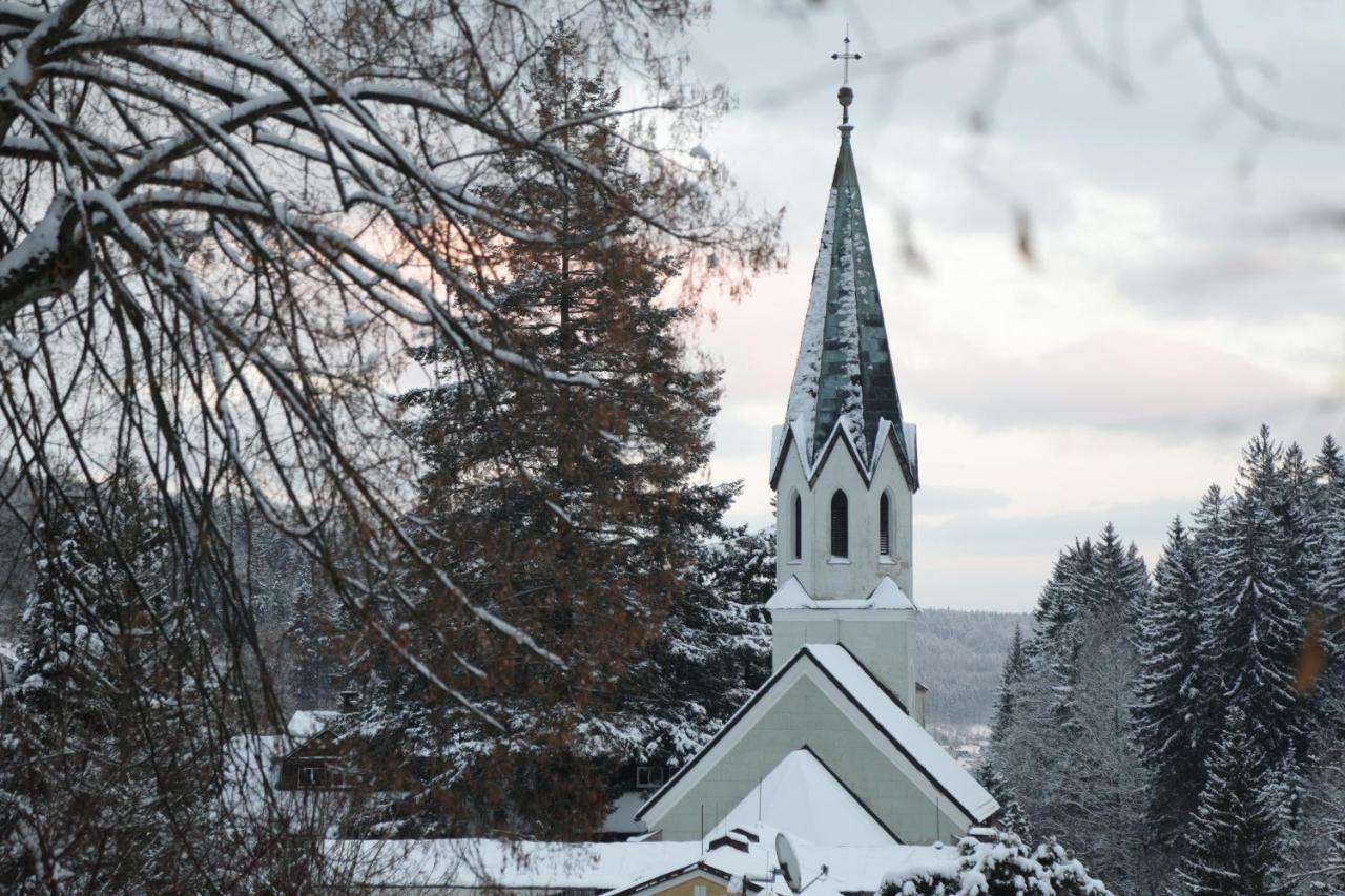 Penzion Flora Janské Lázně Esterno foto